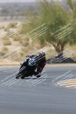 media/May-14-2023-SoCal Trackdays (Sun) [[024eb53b40]]/Turn 5 Tree of Life (1125am)/